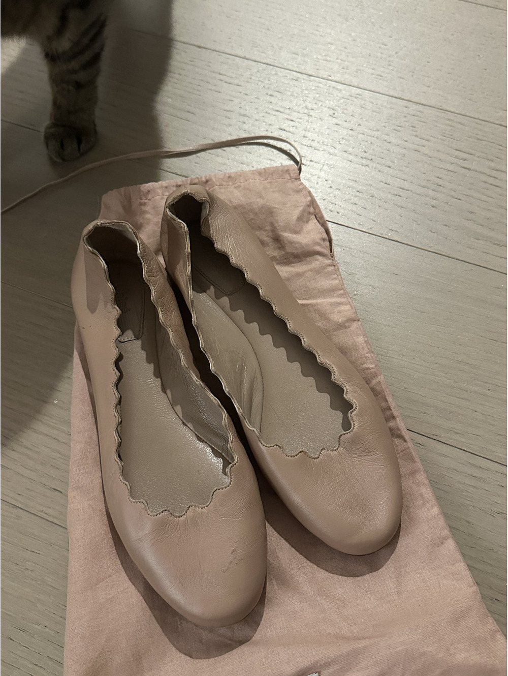 Chole Leather Ballet Flats size 5